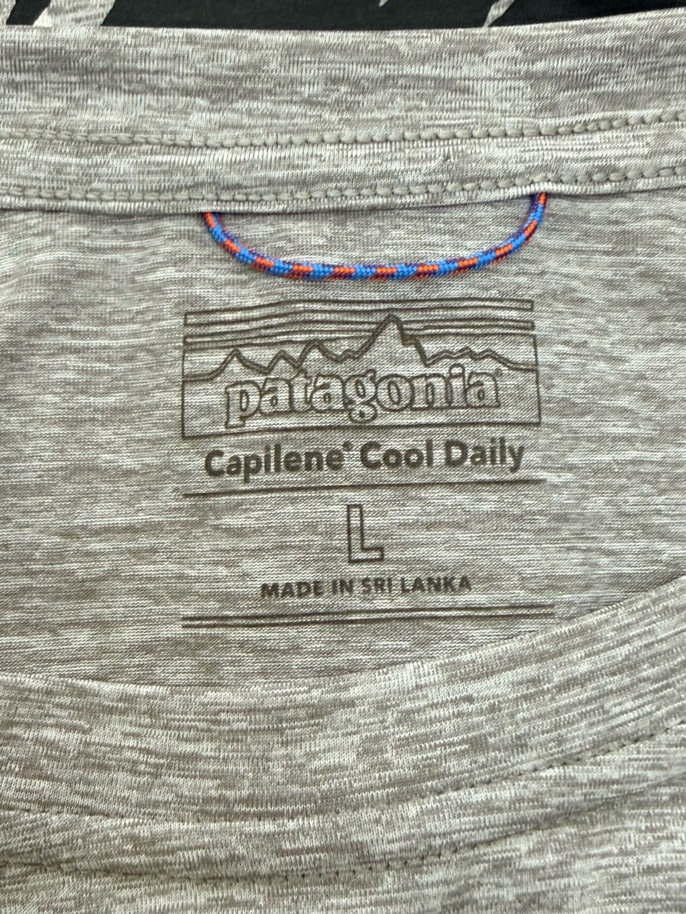 Patagonia | Long Sleeve Capilene Cool Daily Graphic Shirt | Size Large - Picture 4 of 4